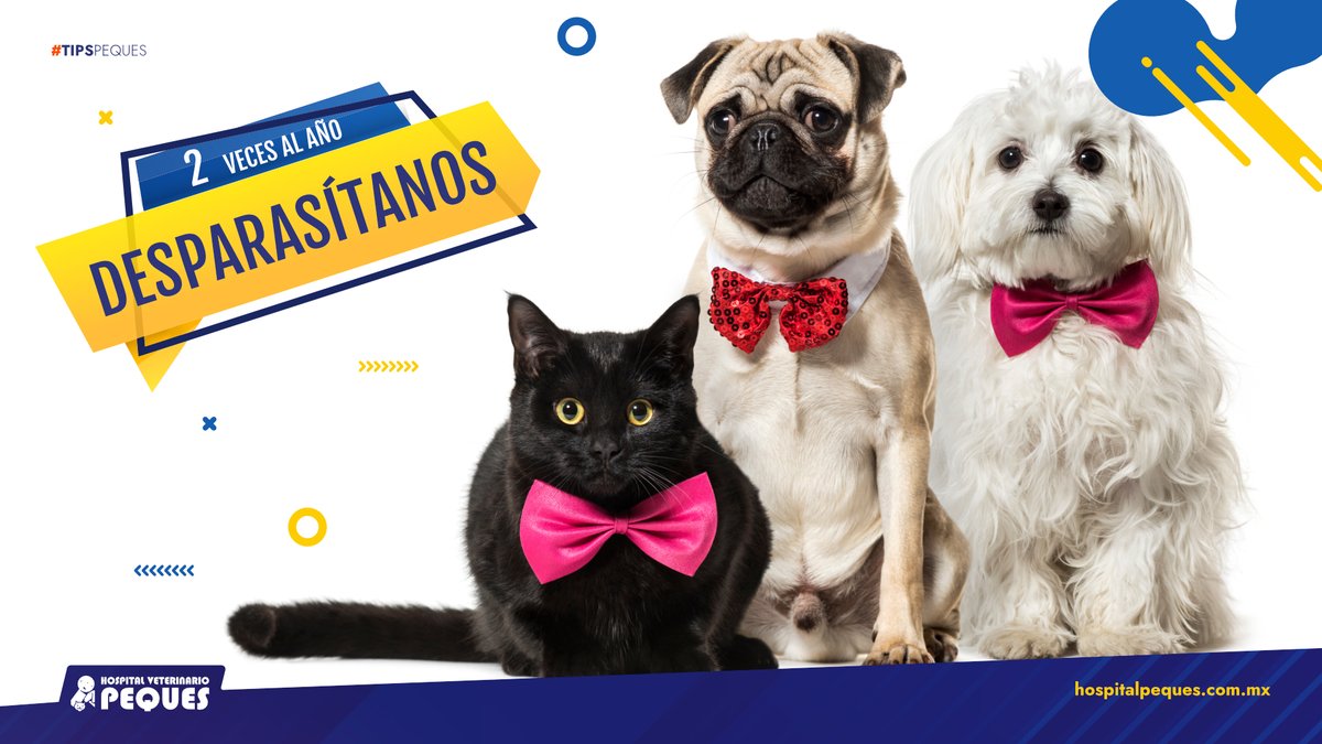 Hospitalpeques's tweet photo. Los parásitos tienen un efecto negativo en la salud de tus mascotas, te recomendamos desparasitarlos de manera frecuente. #TipsPeques #HospitalVeterinarioPeques https://t.co/4qab6eslch