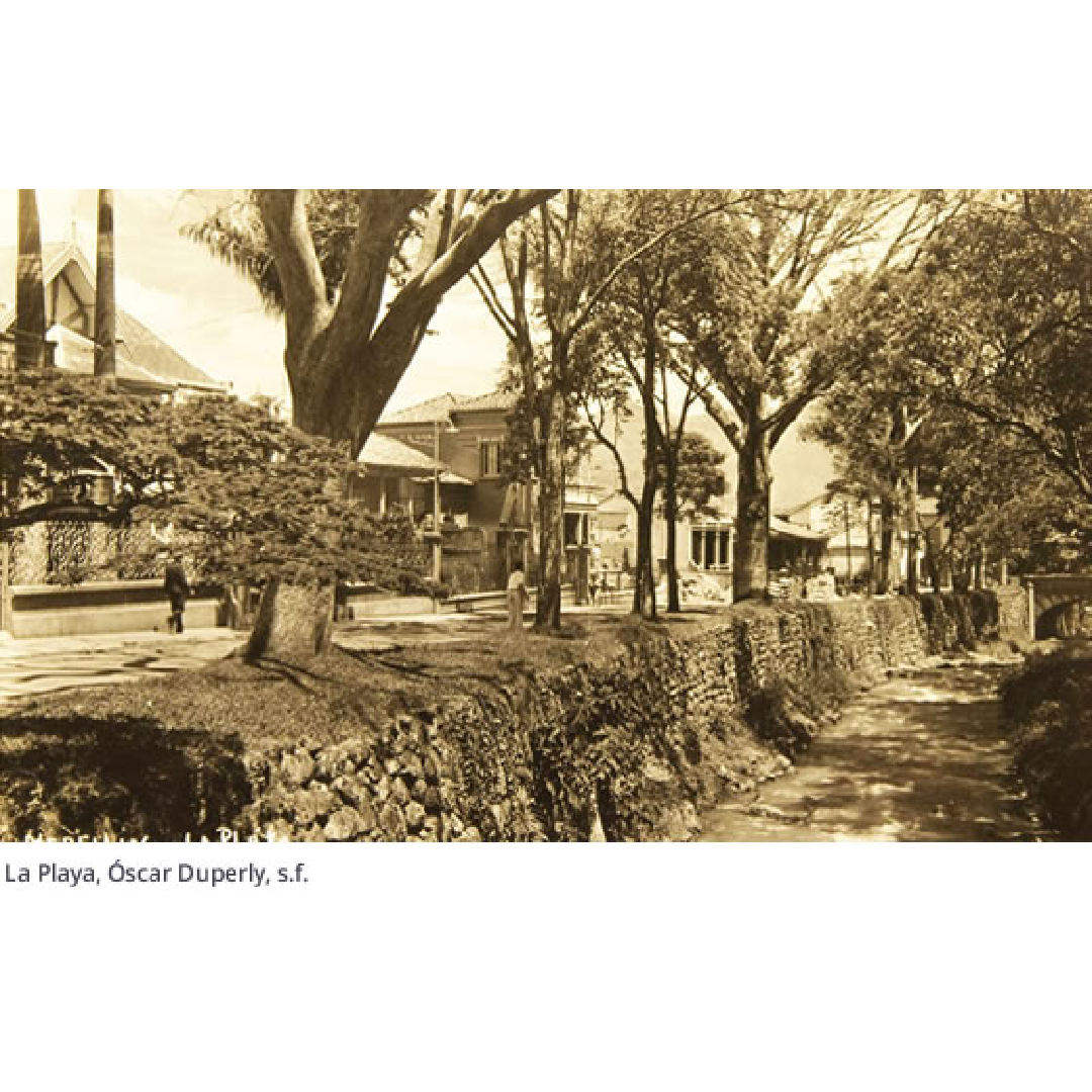 UniversoCentro's tweet photo. Conozca la llegada de los primeros árboles a la ciudad y cómo la concepción de la naturaleza es más bien un constante proceso de resignificación en "Cuando a Medellín le salieron árboles" de Diego Molina para #UC89
(Fotografías de Archivo @bppiloto)
👉https://t.co/htdMNFdGZ4 https://t.co/p7BKyzddFi