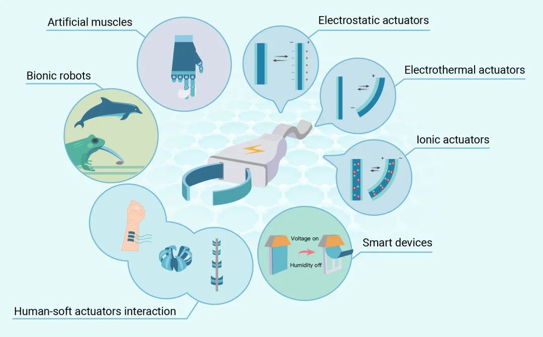 Read the review by Zhang et al. on electro-responsive actuators based on graphene cell.com/the-innovation…