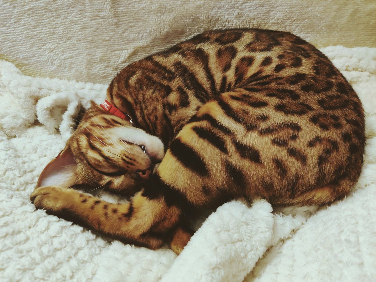 AuthorJamesAllen tweet media