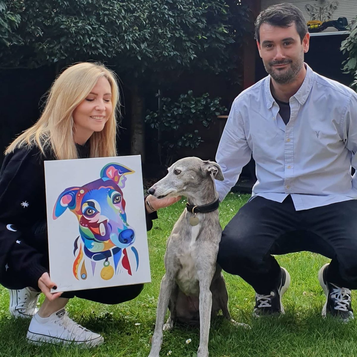 Willow the whippet cross greyhound 

Loved this commission plus I got to meet and spend some time with Willow yesterday, which was a total treat.  🐾💜

#dogpainting #dogcommission #whippet #greyhound #whippetgreyhound #uniquevibrantart #petportrait #amypettingillart