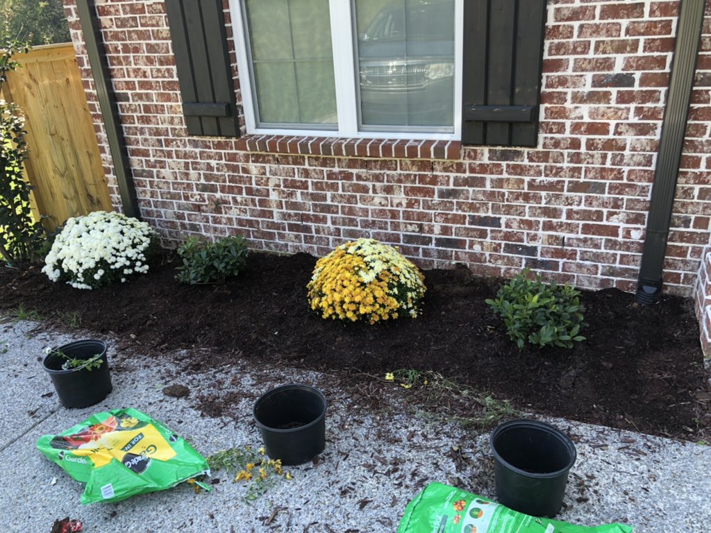 DayDreamerPlay's tweet photo. Cleared the left half from old plants and debris. Lined up and planted the new plants. Right side coming up + a wooden planter box for baby mums. https://t.co/FdExA4jofP