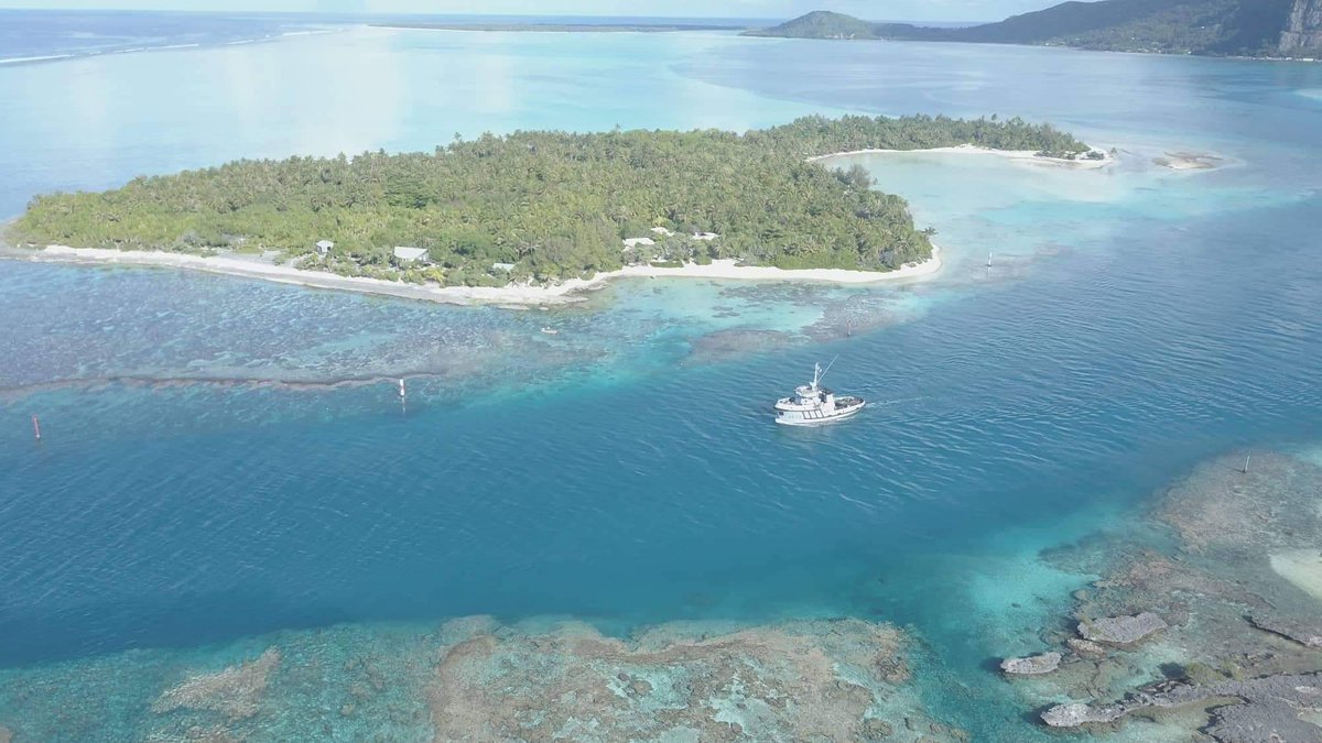 CPP_FAPF's tweet photo. Du 22 sept au 03 oct, le RPC Manini a conduit une mission de surveillance maritime aux Iles sous le Vent, #Huahine, #Taaha, #BoraBora, #Raiatea, #Maupiti. Au bilan, 400 nq parcourus, une trentaine de bâtiments reportés et 24 h de patrouille en zodiac dans les lagons.
#Polynésie https://t.co/iOwm4E0TEq