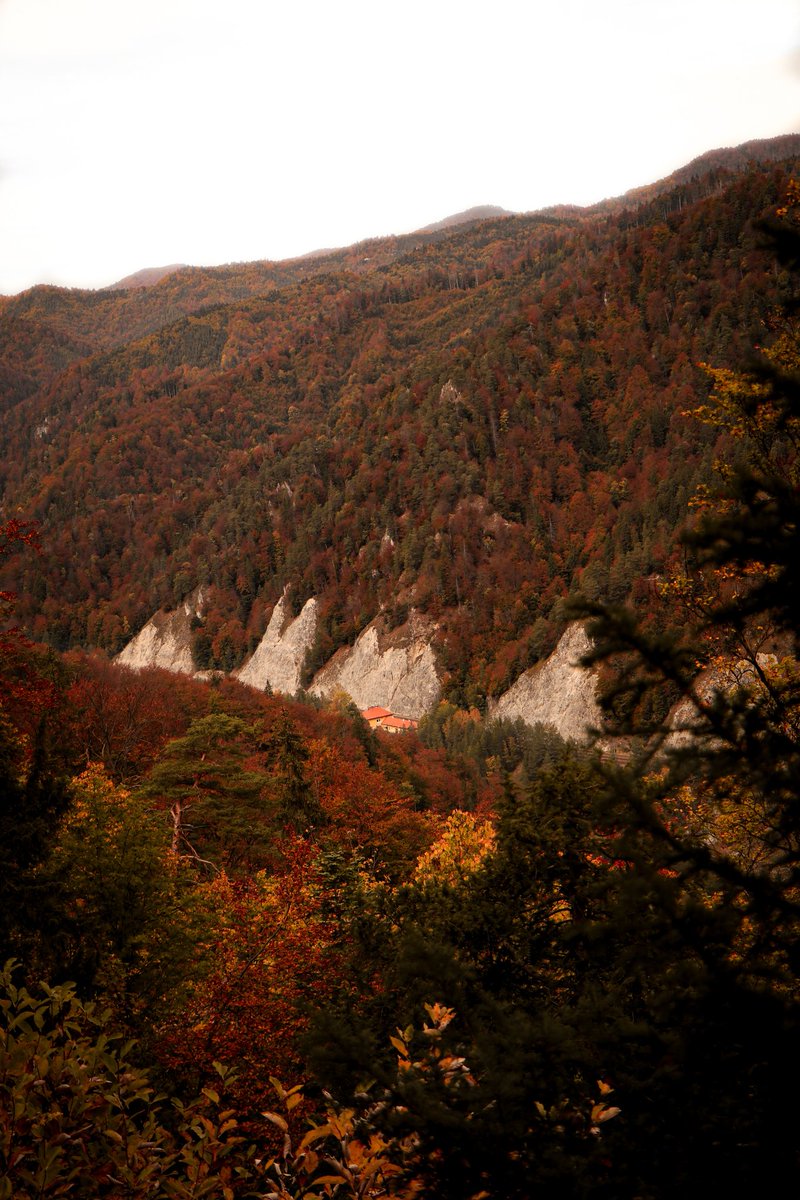 PhilippasPhotos's tweet photo. Autumn is absolutely beautiful here I am blown away https://t.co/Rcy2a04WKk