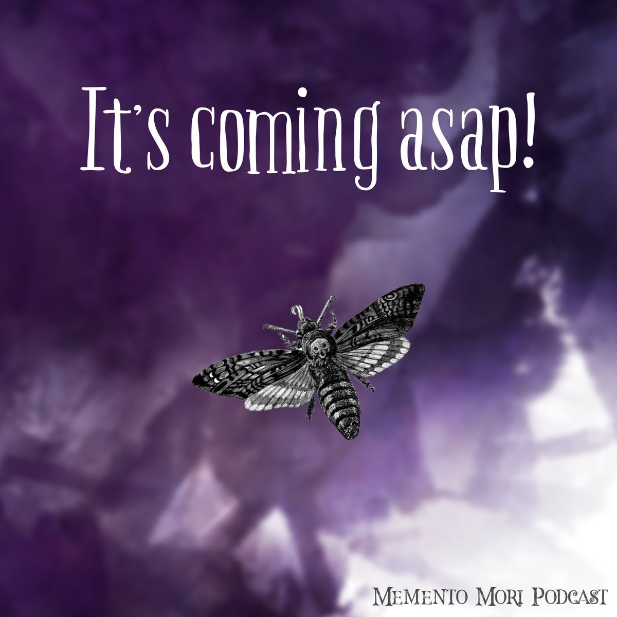 Memento Mori Podcast🖤Links in Bio💀 tweet media