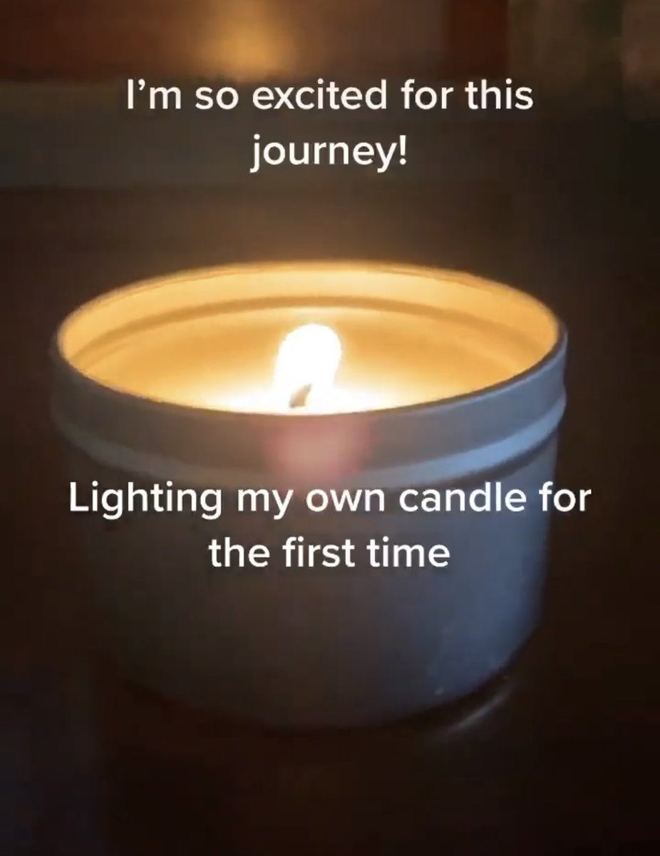SullivanScents's tweet photo. how it started      v      how it’s going https://t.co/zCqlg1aKwT