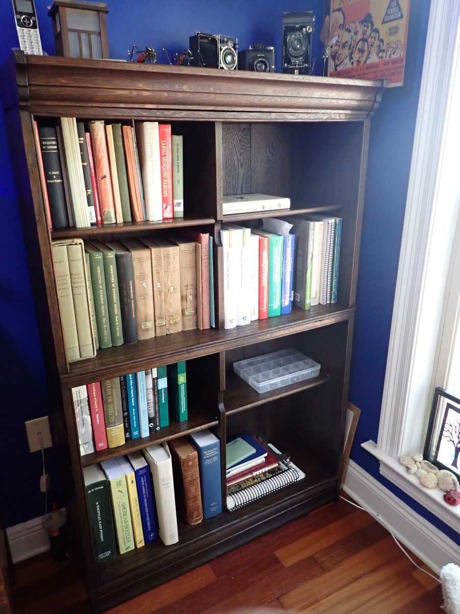 Got this for next to nothing at a barn sale. Quartersawn oak, probably 1910s. The doors were no salvageable. Now it's home to my collection of mosquito books and other entomology texts.