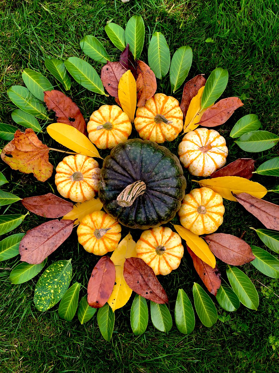 lorri_tay's tweet photo. Pumpkin themed mandala from F who also picked the pumpkins.. @TranbyReception https://t.co/To2zVYcHgr