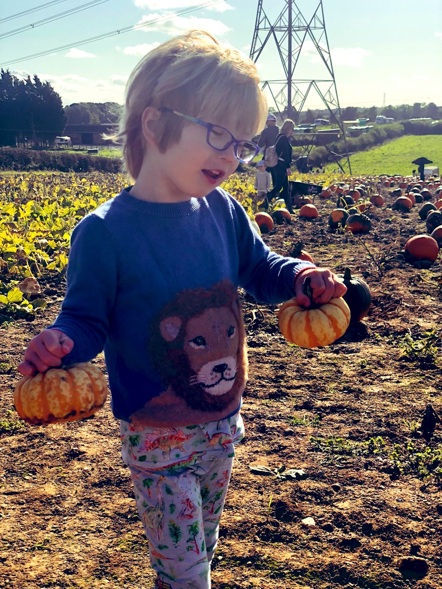 lorri_tay's tweet photo. Pumpkin themed mandala from F who also picked the pumpkins.. @TranbyReception https://t.co/To2zVYcHgr