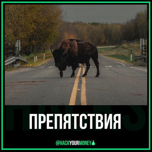 HackYourMoney1 tweet picture