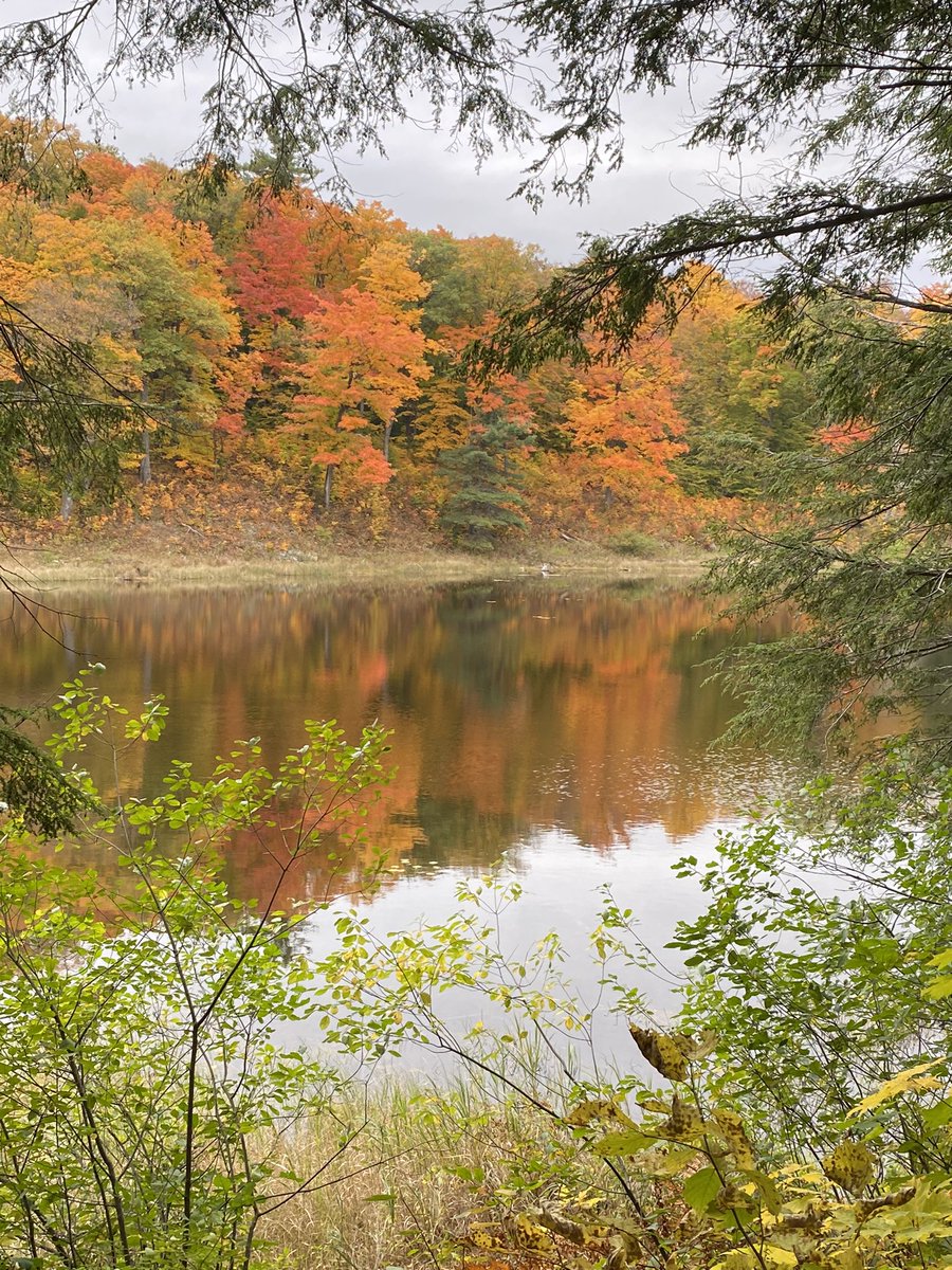 Happy Thanksgiving to my fellow Canadians! #HappyThanksgiving #gobblegobble #Thankful #familyandfriends