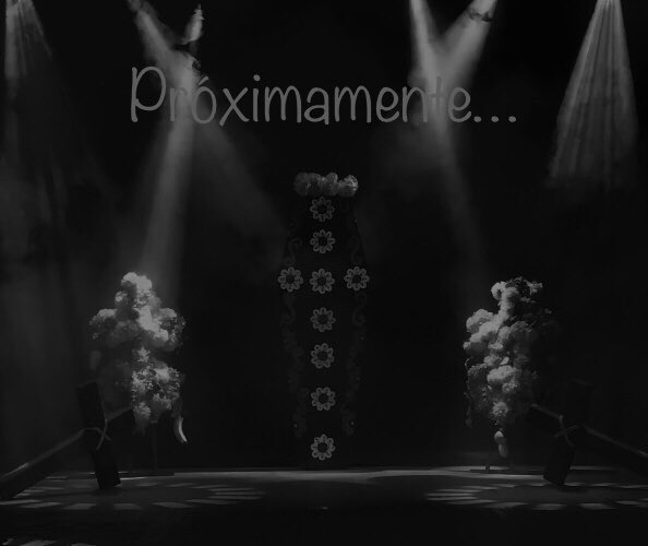Ballet Silvia Lozano (@balletsilvial) on Twitter photo 