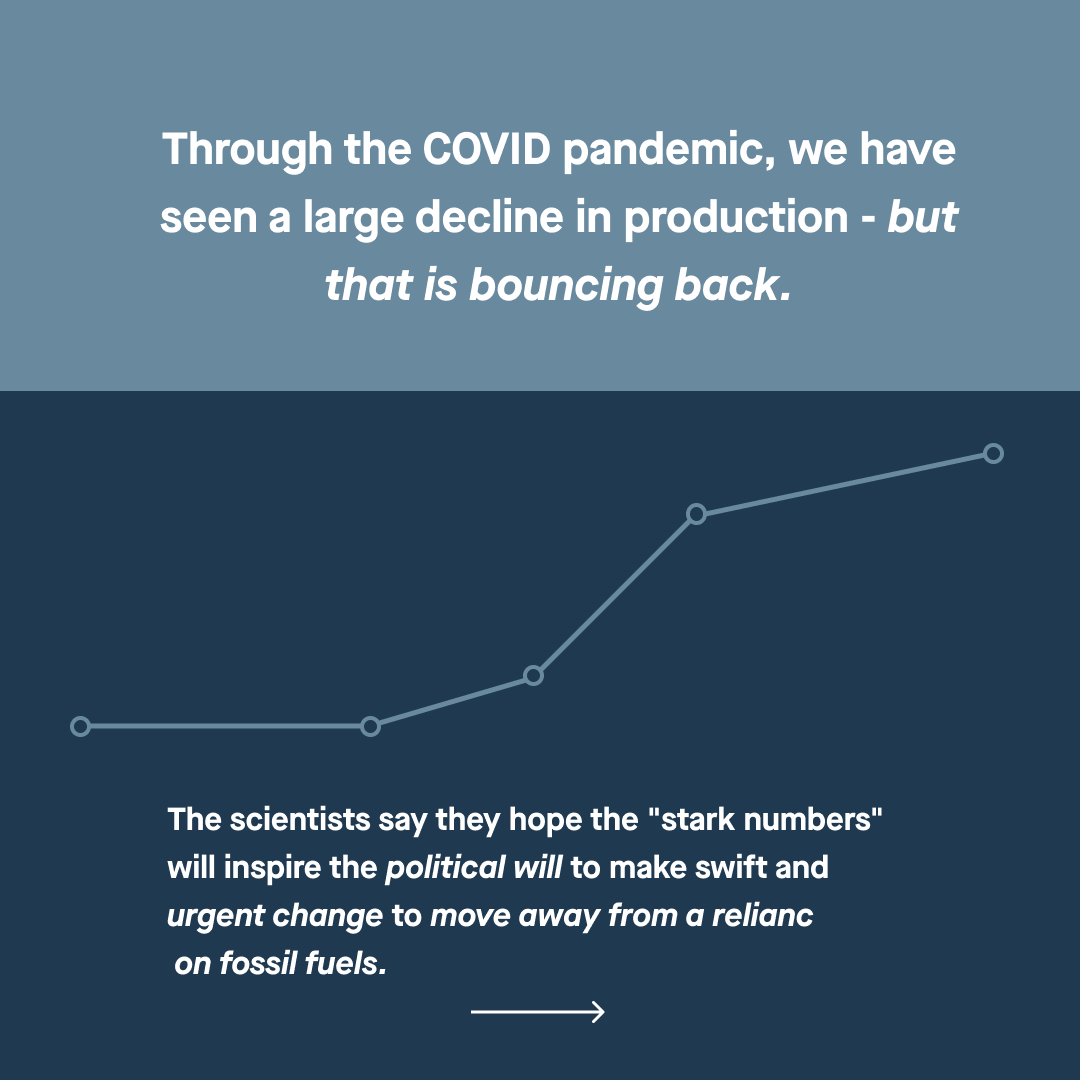 Green Wallet - Eco Shopping App tweet media