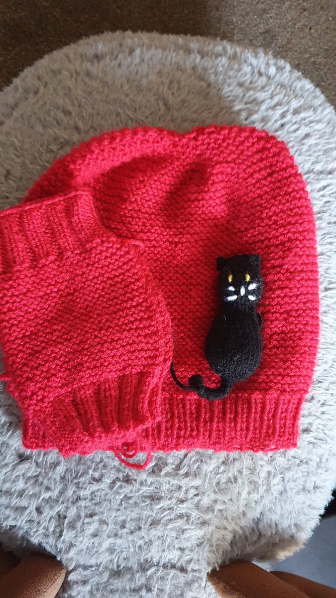 LouiseWalton78's tweet photo. Today's #knitinprogress ❤🐈⬛❤🐈⬛ https://t.co/hzVFGXp8ma
