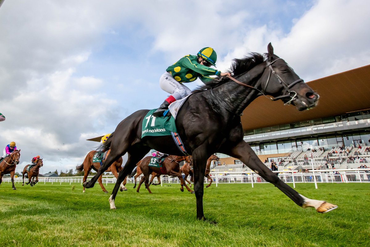 curraghrace's tweet photo. 🥇A #CurraghTrained winner of The @BordnaMona Recycling Apprentice Handicap as LOINGSEOIR wins for Michael Grassick under @AnnaliseCullen 

Congratulations to all connections 💥 https://t.co/AGRvmt34Kc