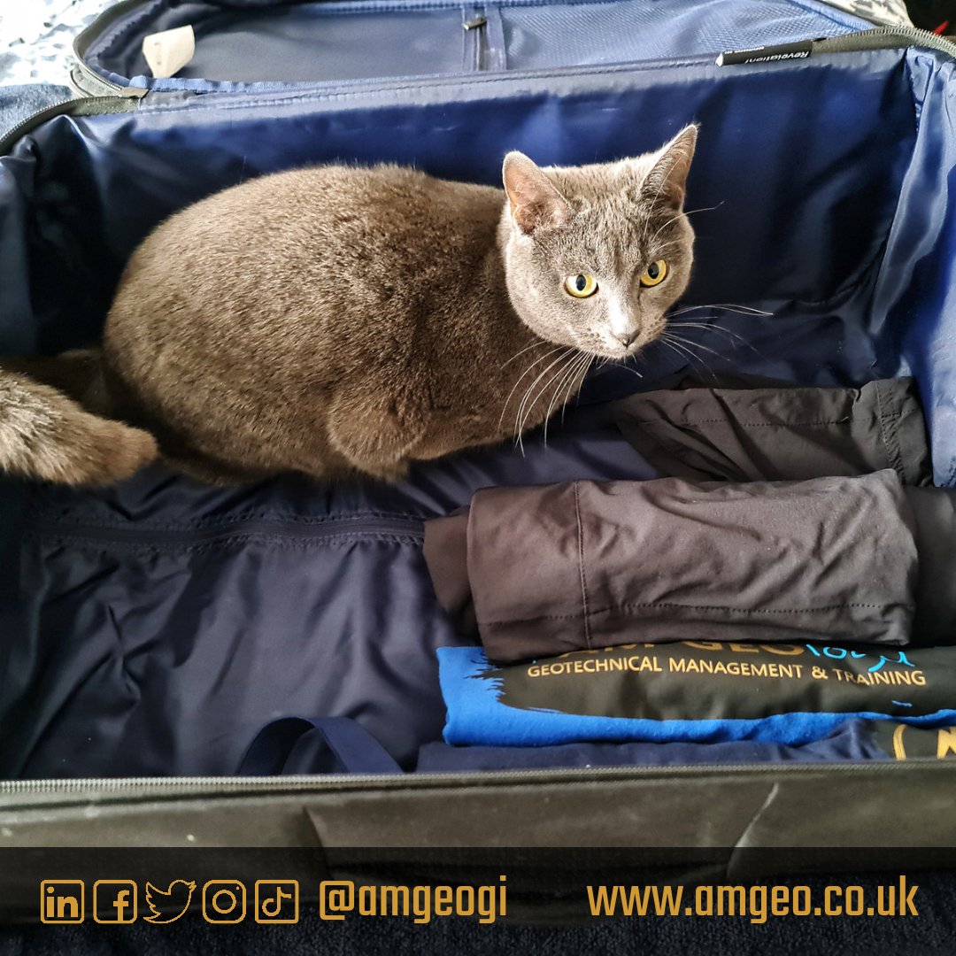 Trying to pack for a week working near Portgordon, the cat isn't much help though.