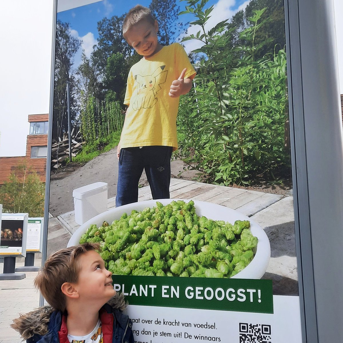 BrouwerijStijl's tweet photo. Stem op William
Onze "hop professor" gaat voor de Publieksprijs in de @FloriadeExpo Fotowedstrijd!
Klik hieronder om te stemmen, onze dank is groot!
https://t.co/tZcFJAgEuS
@DutchFoodWeek @ggcAlmere #Almere #Brouwerij #hoptuin #hop https://t.co/w4nmcRNpju