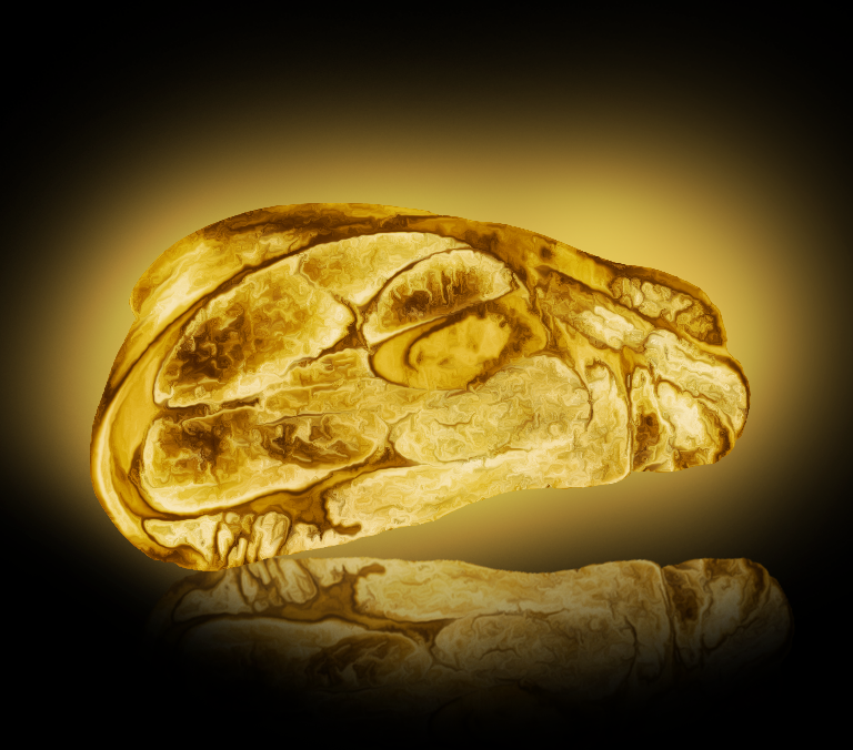 LuxuryMeatNFT's tweet image. I love turning things to gold and I love meat. If you like meat you probably will like my project. I would be really grateful if you have a look at it.
opensea.io/assets/0x495f9…