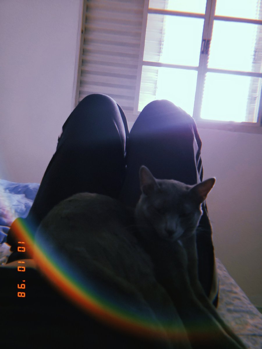 Hannah (@hnnhlpld) on Twitter photo 