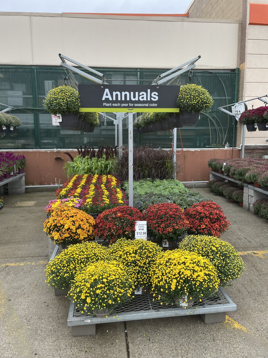 renee wood tweet media