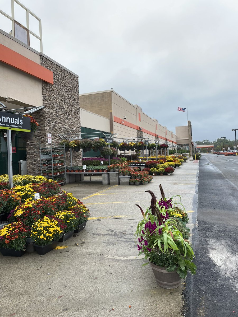 renee wood tweet media