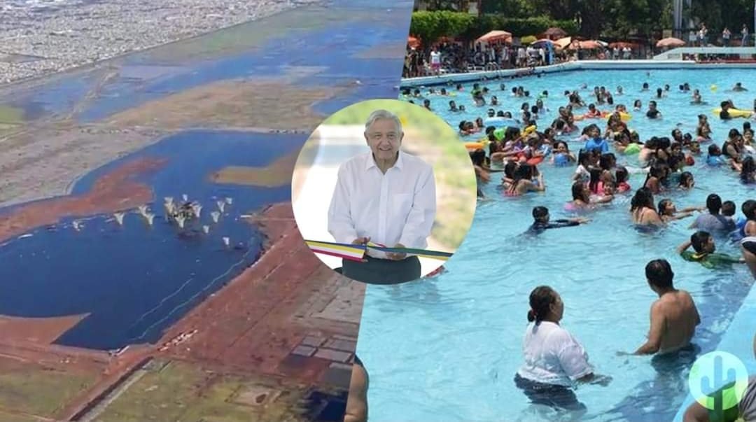 La Catrina tweet media