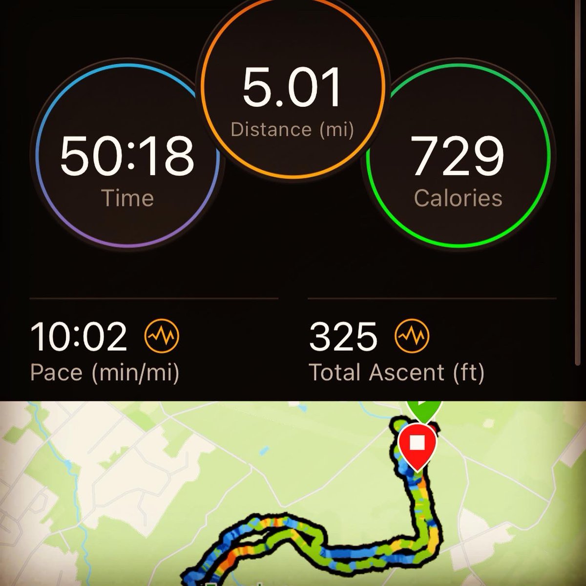 Insight_Minds's tweet photo. I love trail running. Each step focused on what is in front of me, letting go of all other thinking. Being present. Sat for #meditation after the #run, filled peace and joy. 

#MakeLifeMeaningful #HealthyMindHappyHeart #grateful #RunHappy #PositiveLiving #Runchat #MindfulRunning https://t.co/8nSZKjFUNe