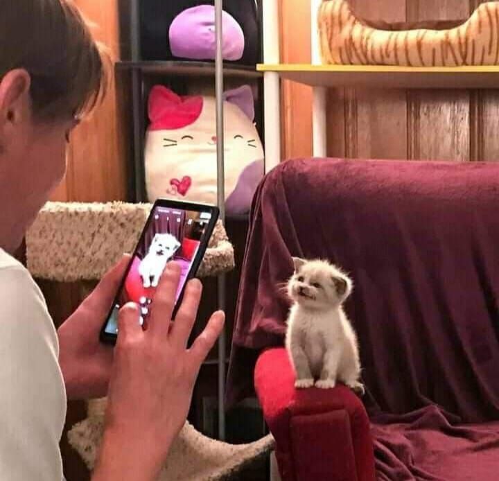 LEO. tweet media