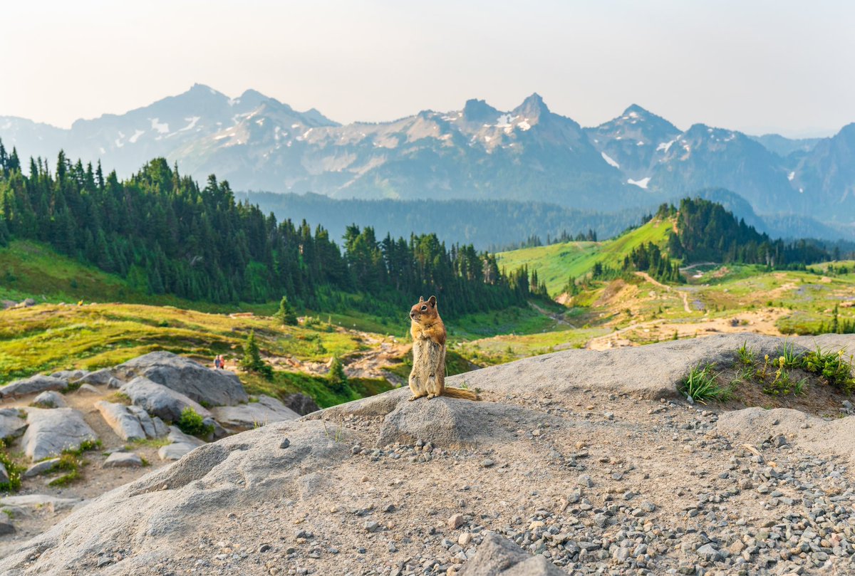 Mornings in the mountains with chip >>