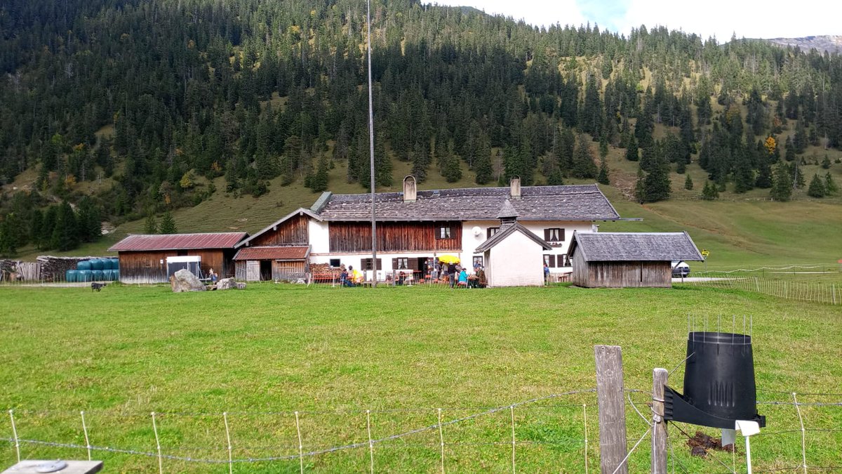 DisturbanceEco1's tweet photo. #ResearchInAction #FieldSite cleaning and management for #nextyear #experiment, Teams of Disturbance Ecology on Field.
#Disturbance #NutNet #SusAlps #Diversity #Ecology # https://t.co/a4VWU6HIXe