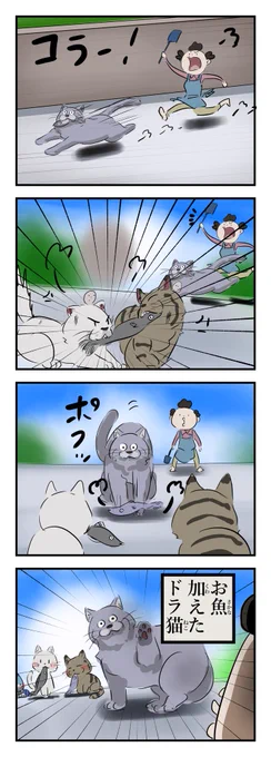 ドラ猫。 