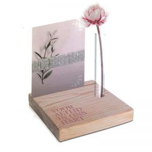 Albertine/ Roos&Tijn tweet media