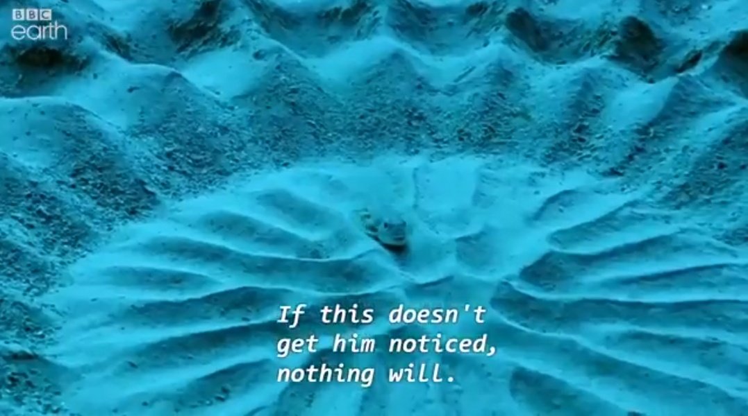 Freelancer life is apparently indistinguishable from being a horny little fish