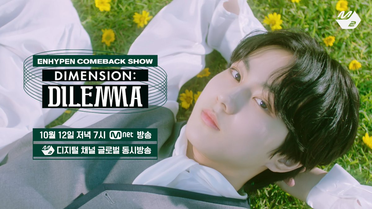 비B도D리X베B tweet media