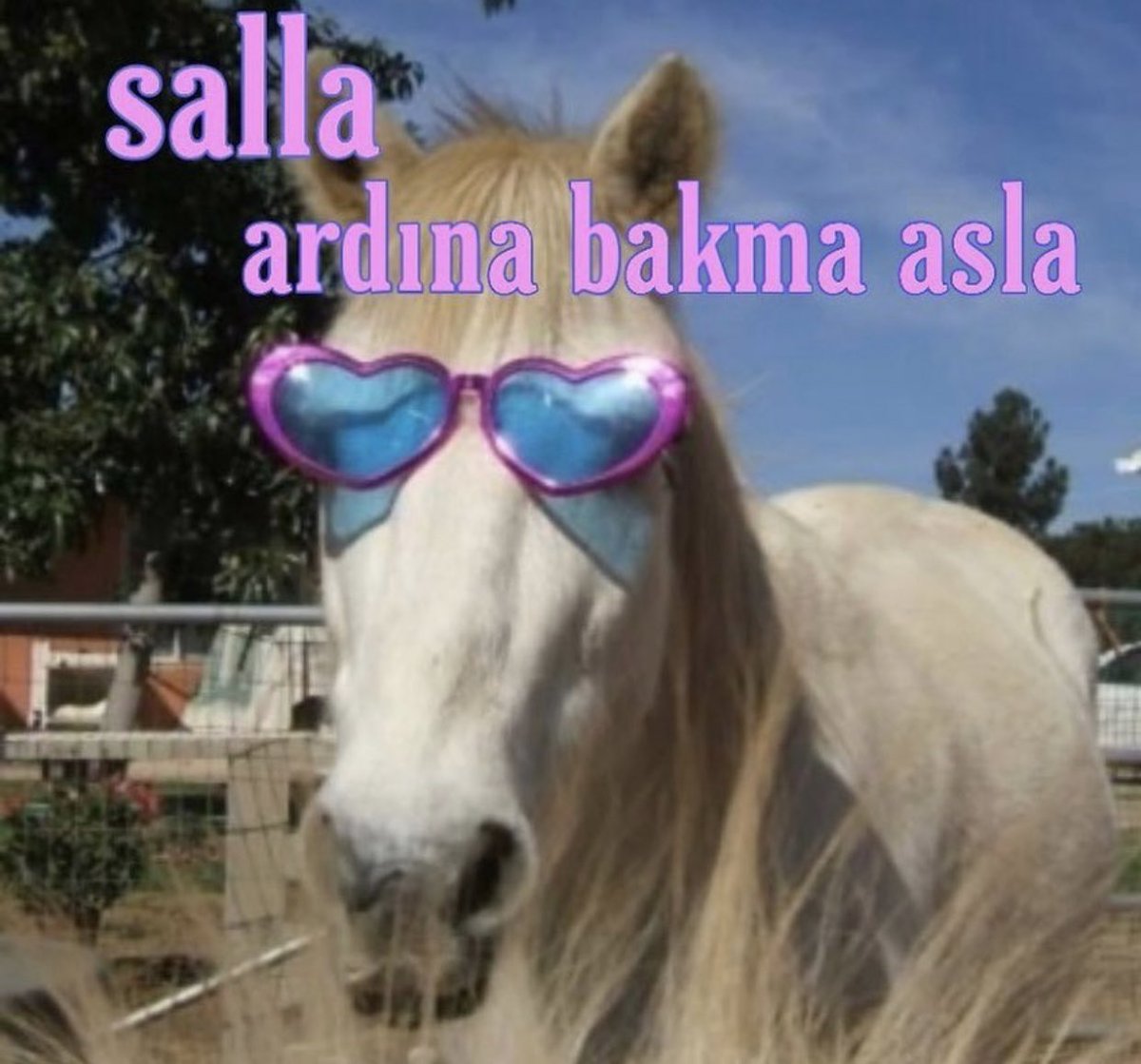 sacmalaca's tweet photo. biz burdan devam https://t.co/bblILSFRFj