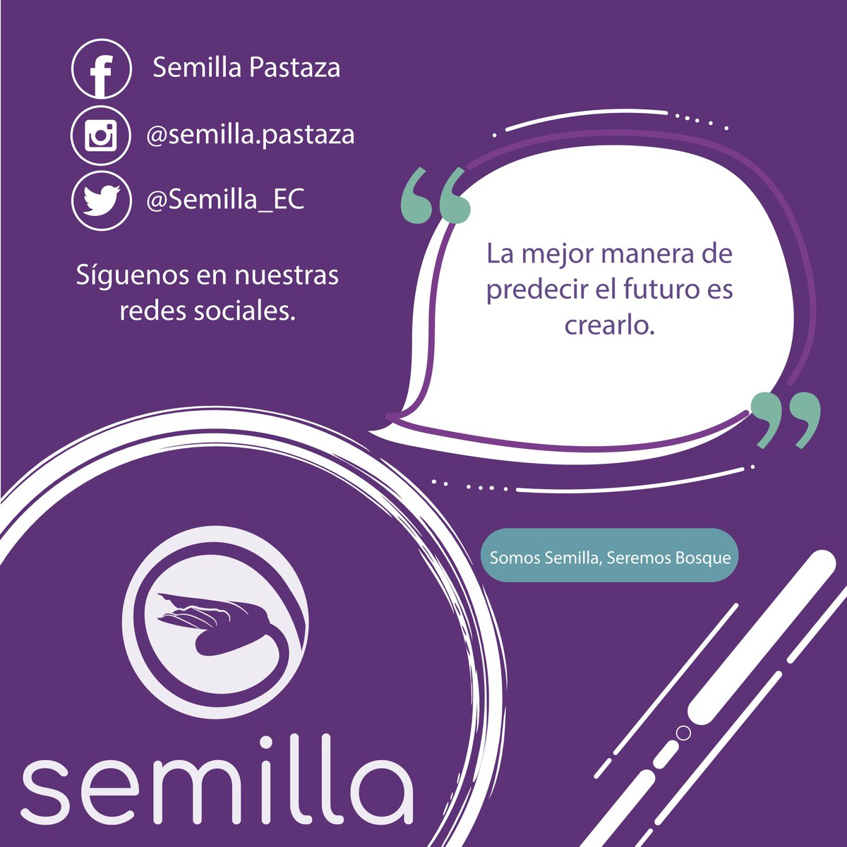 Semilla_EC's tweet photo. #SemillaPastaza
#SomosSemillaSeremosBosque
#AnimoAnimoAnimo
#SeguimosSembrando https://t.co/ogJjRlfOOi