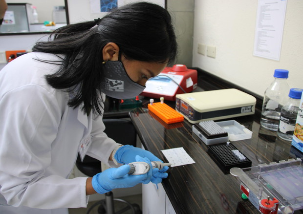 #Alzheimer, la probabile causa sono le proteine tossiche nel #cervello: bit.ly/3oP8sFi
#demenza #neuroscienze