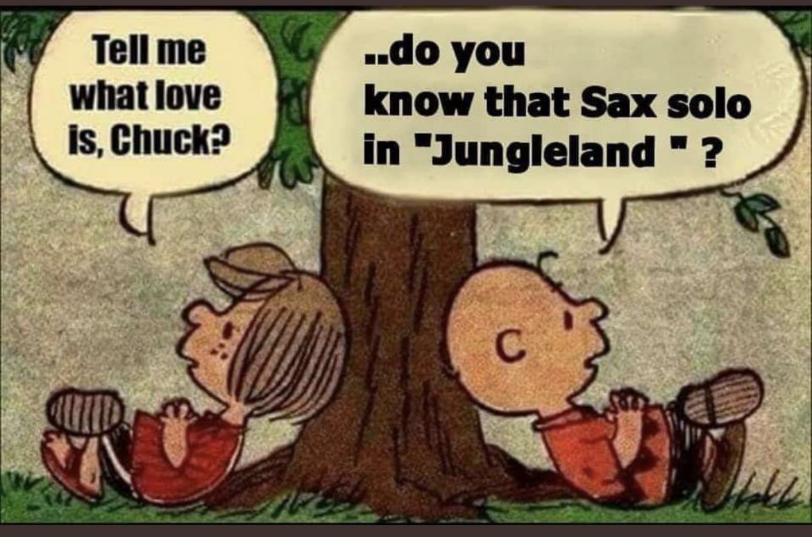 #TheJoyOfSax  #SpringsteenFansGetit😆 <a href="/EstreetCalling/">Speaking Springsteen</a> <a href="/SpringNuts_/">Spring-Nuts</a> <a href="/backstreetsmag/">Backstreets Magazine</a>