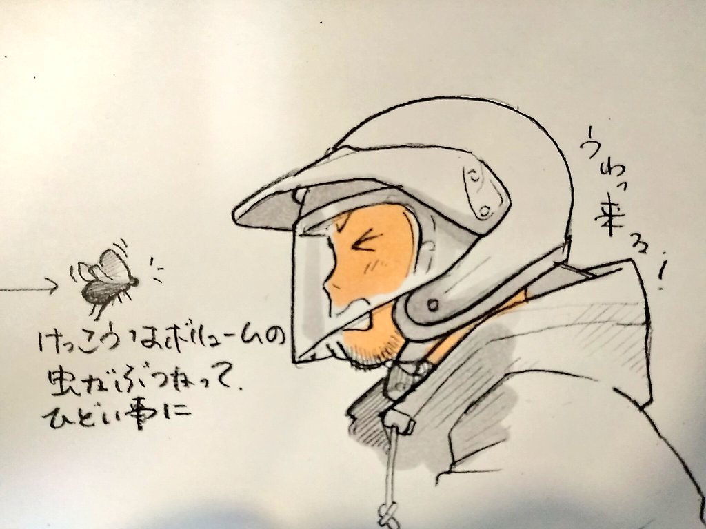 バイク走行中に虫に激突される。 