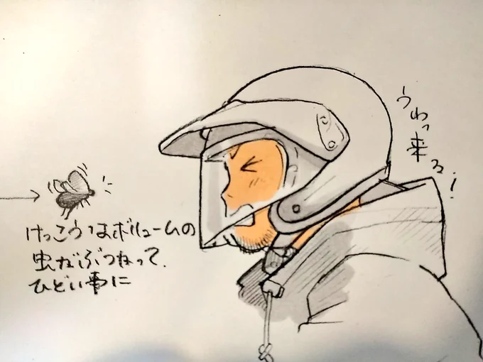 バイク走行中に虫に激突される。 