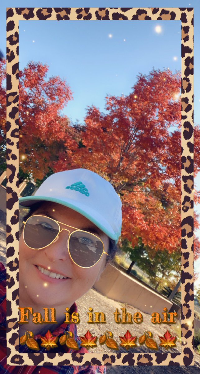 CecesGoodStuff's tweet image. Fall is in the air this morning 🍁🍂🍁🍂🍁🍂🍁#ceceliasgoodstuff