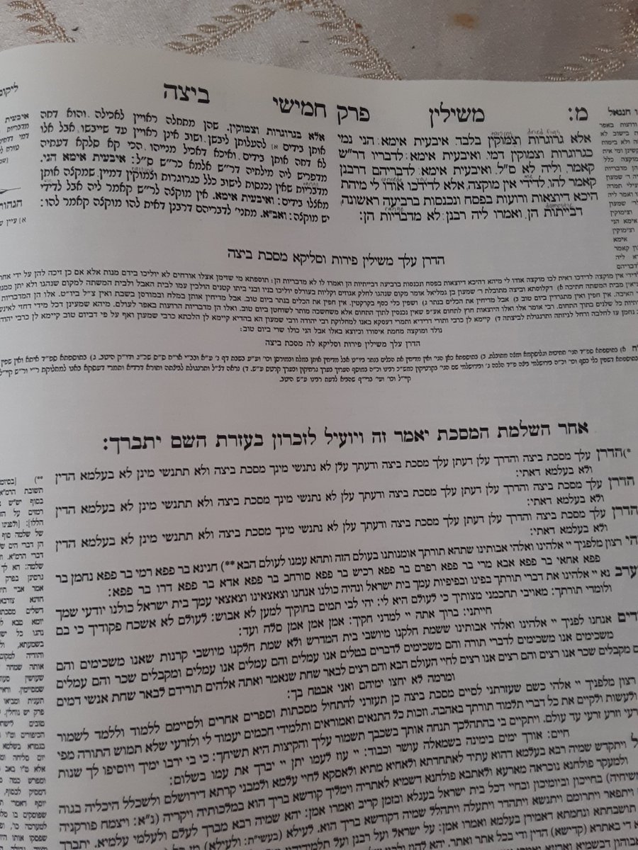 lonshor's tweet photo. It has been like the #simcha of meat and wine learning Mesechta #Beitzah https://t.co/lif8bafhMU
