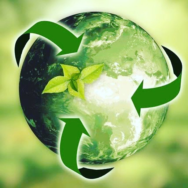 ecodefend's tweet photo. “The greatest threat to our planet is the belief that someone else will save it.” https://t.co/B2aQ9huIv1