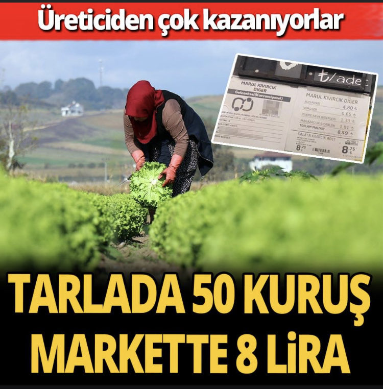Tarlada 50 Kr markette 8 Lira..