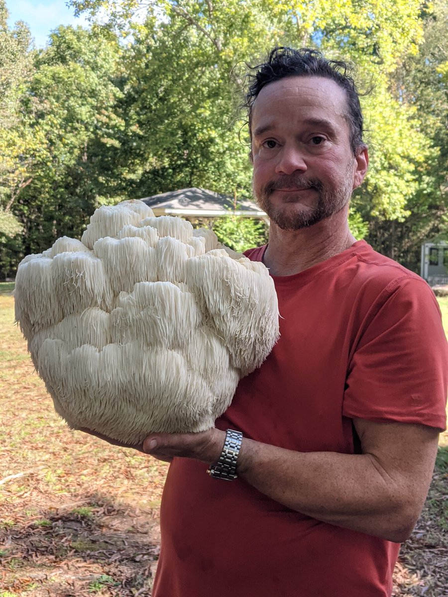 Found this one up in a tree behind my house today. Same spot as one we found 2 years ago.