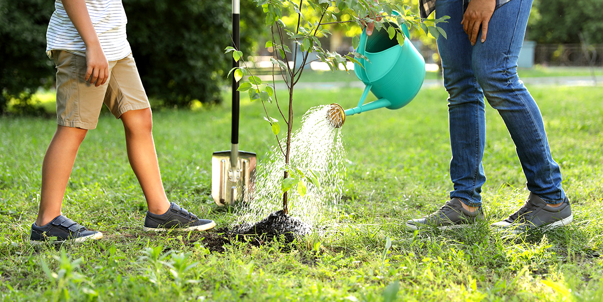 TownofWhitby's tweet photo. Help grow the urban forest in Whitby! Join @leaf on Sunday, October 17th from 1:00PM to 3:00PM for a family-friendly afternoon of planting native trees and shrubs in Rosedale Park. Participation is limited. Register: https://t.co/U2i1MMwX88 https://t.co/vuxdWRaXfx