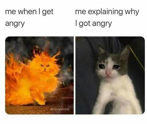 MemePodda's tweet photo. #memesdaily #slmeme #SriLankan #firememe https://t.co/wxOUznooFW