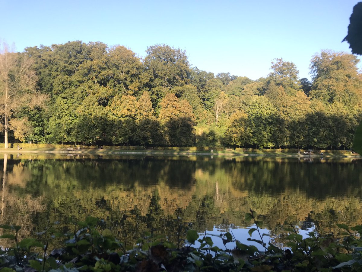 BirdingBrussels's tweet photo. Bonheur d’un anticyclone d’automne dans la forêt cathédrale #BruxellesMaBelle #Soignes #RougeCloître https://t.co/IJiTe6J834