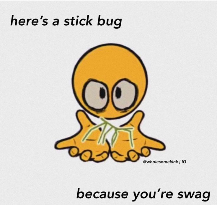 rising global popstar sensation LARA RAJ tweet media