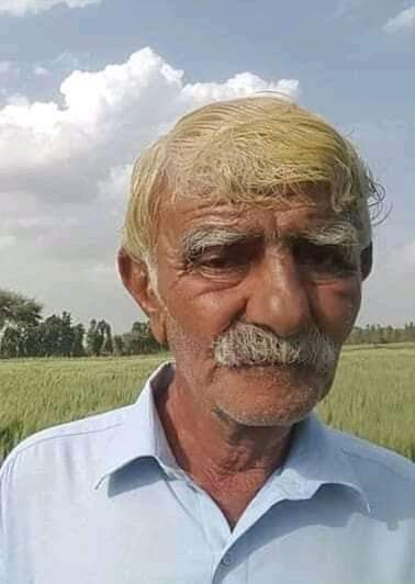 Sindhitopiajrak's tweet photo. یہ پاکستان کے قابل فخر زرعی سائنسدان، کرم خان کلیری ہیں۔جس نے گندم کی شاندار ورائٹی(ٹی،ڈی،ون)ایجاد کرکے پاکستانیوں کو بھوک سے نکالنے کی کوشش کی،ملک کو گندم ایسکپورٹ کرنے کے قابل بنایا۔
وہ سندھ میں اپنی ایک ایکڑ زمین پرزرعی تجربات جاری رکھے ہوئے ہے۔ان کو کون پوچھتا ہے؟ https://t.co/L35VGFeppD